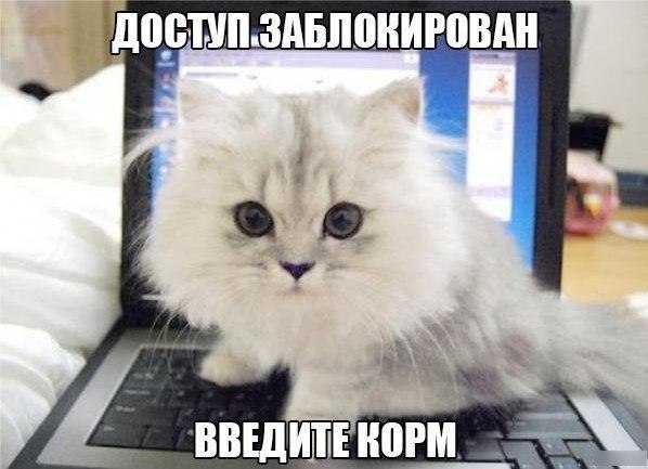    :D - 26  2014  12:57