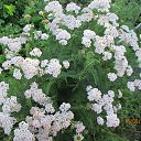 ���� �����, �����������, 66 ��� - ��������� 22 �������� 2014 � ������ �������