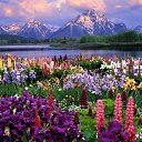 ���� �������, ������� - ��������� 16 ������� 2014 � ������ ������ ��������