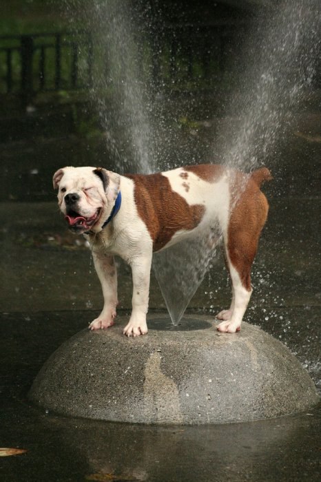  :   .           ... - 20