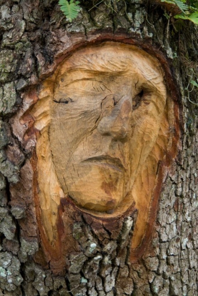  .        Tree Spirits,   ... - 5