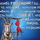 ���� �����, ������ - ��������� 9 ������� 2014 � ������ ������ ��������
