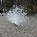 ���� ������, ��������� - ��������� 8 ������ 2014 � ������ ������ ��������