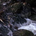  , , 36  -  9  2014    