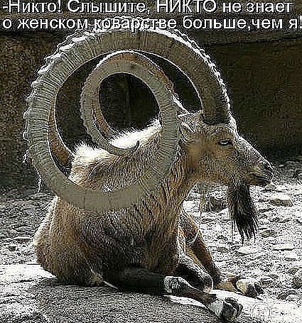 ������ - 7 ������� 2014 � 14:16