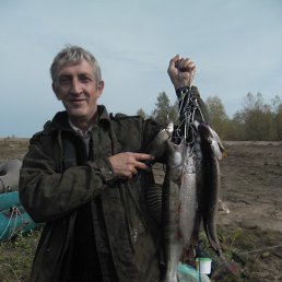 ���� ����, ��������, 66 ��� - ��������� 13 �������� 2014