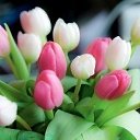 ���� Meruert, ������� - ��������� 5 ������� 2014 � ������ ��������