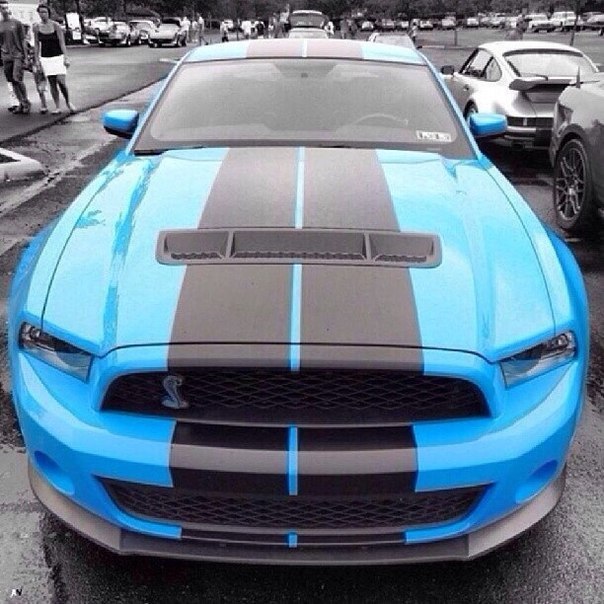 Shelby GT500. - 6