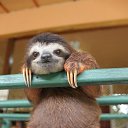 ����� ������� ��������, ������� � ���������� ��������...))) �� ������� ���� ����������