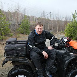  Bear, , 44  -  11  2014