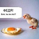 ���� �����, ������, 36 ��� - ��������� 1 ������� 2014 � ������ ������ ��������