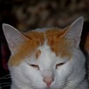 ���� �������, ��������, 30 ��� - ��������� 18 ������� 2014 � ������ ������ ��������