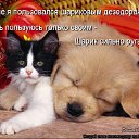 ���� �����, ������ - ��������� 12 ������ 2014 � ������ ���� ����������