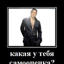 ���� Serz, ����������� - ��������� 8 ������� 2014 � ������ ���� ����������