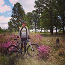 ���� �����, ����, 36 ��� - ��������� 11 ������� 2014 � ������ ���� ����������