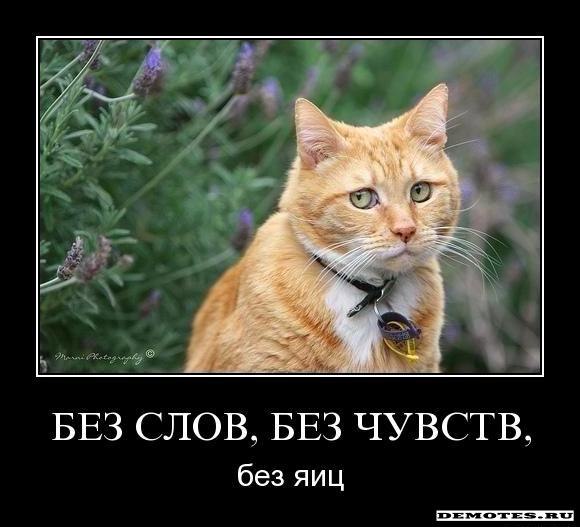 ���������� ��������� - 20 �������� 2014 � 11:59