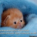 ���� �������, ����� - ��������� 12 ������� 2014 � ������ ���� ����������