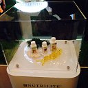 ���� ������, ������, 59 ��� - ��������� 8 ������� 2014 � ������ ������ ��������