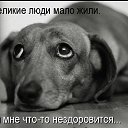 ���� ����, ��������� - ��������� 28 ������� 2014 � ������ ������ ��������