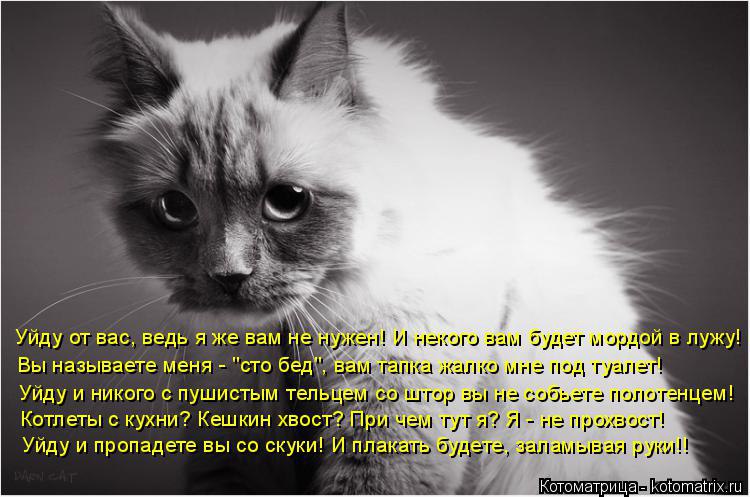 /zev/null - 29  2014  14:46