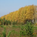 ���� �������, ������������, 43 ���� - ��������� 25 �������� 2014 � ������ ���� ����������