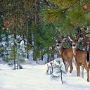 ���� Meruert, ������� - ��������� 10 ������� 2014 � ������ ��������