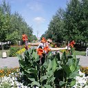 ���� �������, ������, 72 ���� - ��������� 26 ������� 2014 � ������ ���������� ���� �������!!!!�