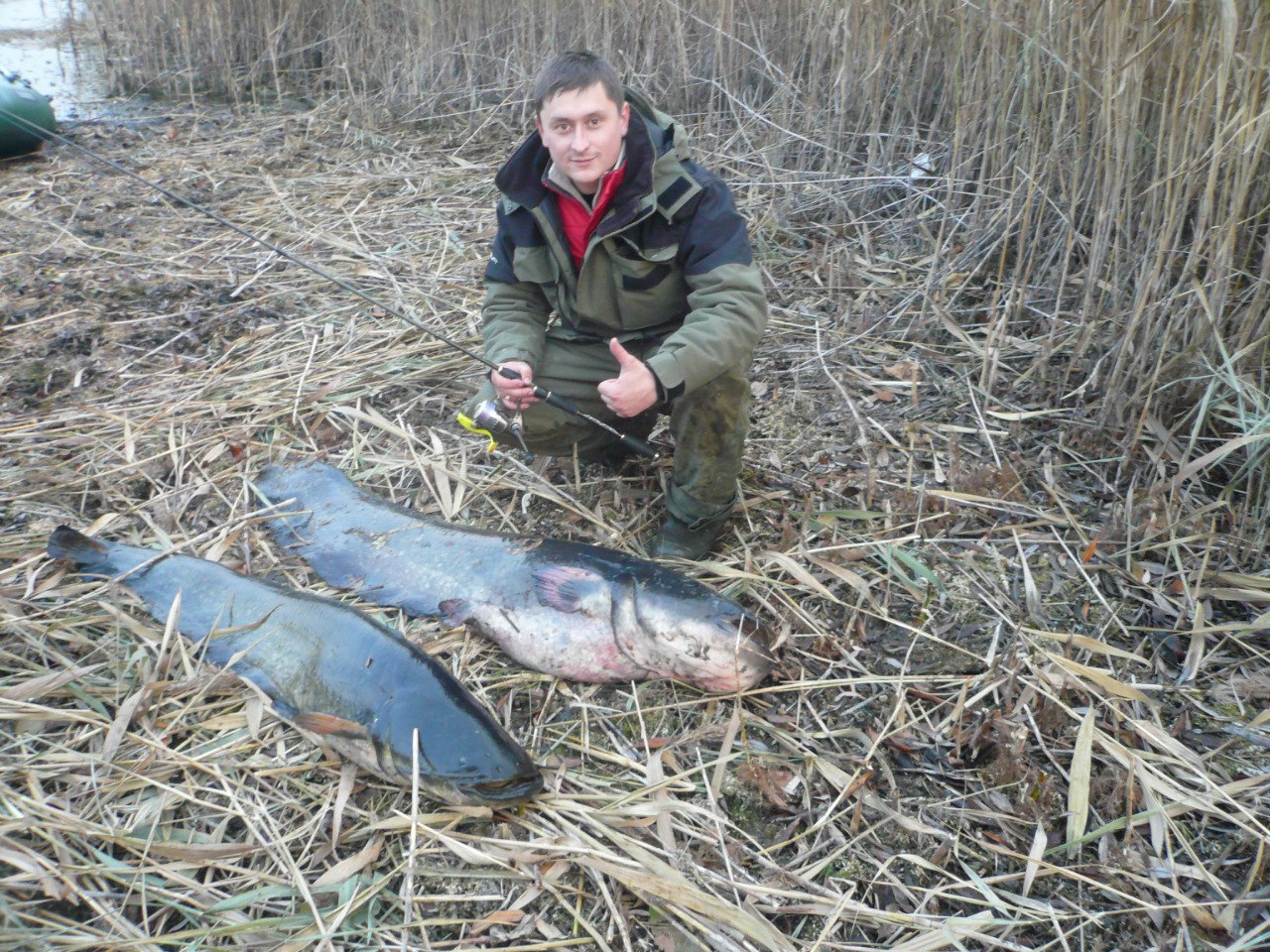 ����� ������� - 14 ������ 2014 � 10:55 - 3