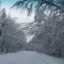 ���� ��������, �����, 46 ��� - ��������� 25 ������� 2014 � ������ ���� ����������
