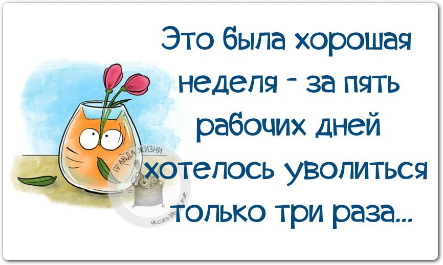 Всего три дня на жизнь. Это была хорошая неделя хотелось уволиться только. Это была хорошая неделя хотелось уволиться только три. Неделя была хорошей уволиться хотелось всего 3 раза. Уволиться хотелось всего 3 раза