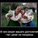 ���� �����, �������, 58 ��� - ��������� 7 ������� 2014 � ������ ������ ��������