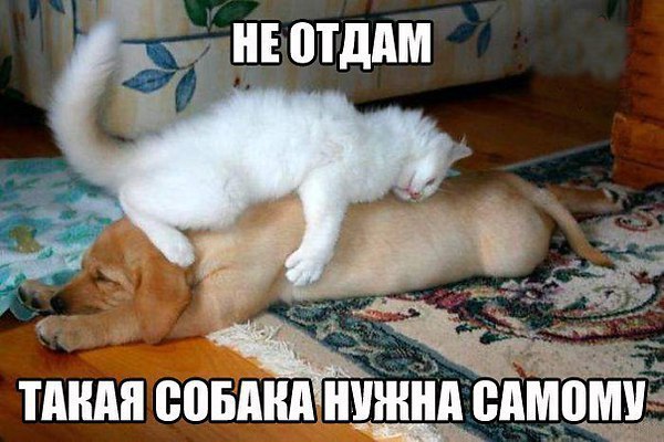 Милые Особы... Женского Пола............. Спасибо от Мужского ...... Пола.что Вы ...