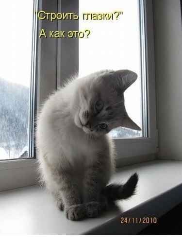 ���������� ������� - 31 ������� 2014 � 17:32