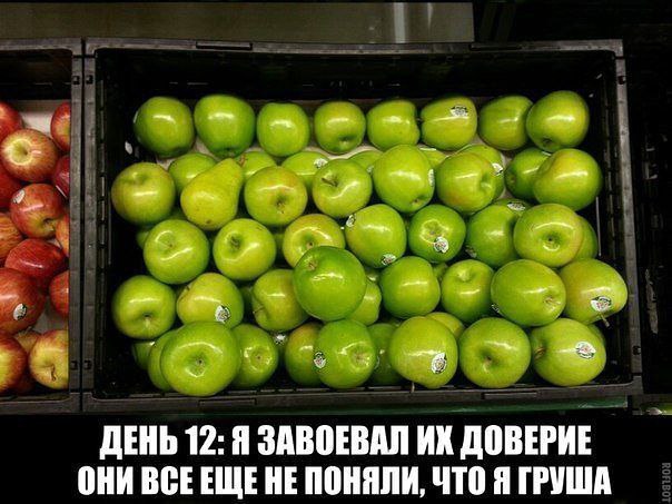     <a href=