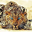 ���� �������, ������ - ��������� 12 �������� 2014 � ������ ������ ��������