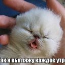 ���� �����, ���������, 48 ��� - ��������� 24 ������� 2014 � ������ ������ ��������
