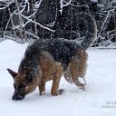  - 24.04.2014
     - 2014