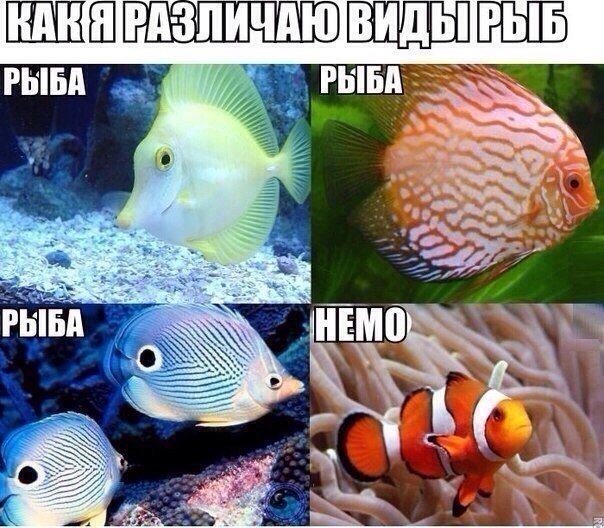    :-) - 1  2014  13:42