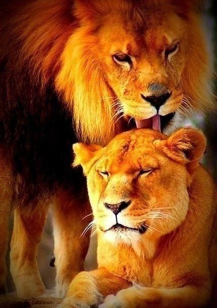 Подписывайтесь на нас: <a href=