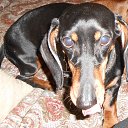 ��� �������-����. �� ������� ���� ����������