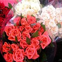 ���� Mehman, ����, 56 ��� - ��������� 2 ������ 2014 � ������ ���� ����������