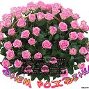���� �����, ������������, 56 ��� - ��������� 10 �������� 2014 � ������ ������ ��������