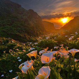 ���� ���������, ������ - ��������� 7 ������ 2014