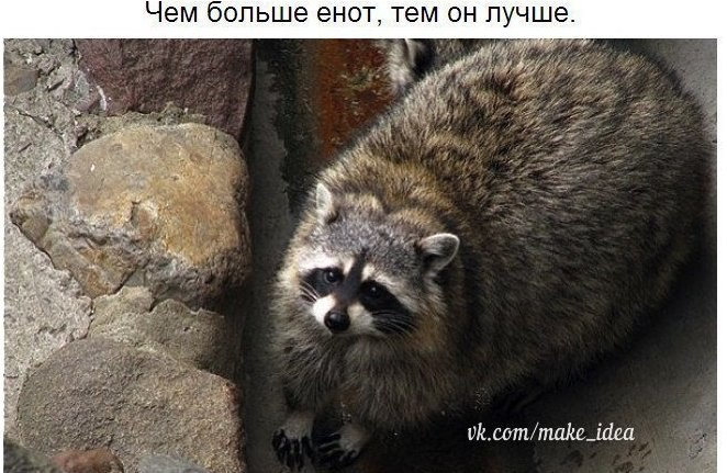     - 2