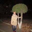  , , 52  -  24  2014   2014