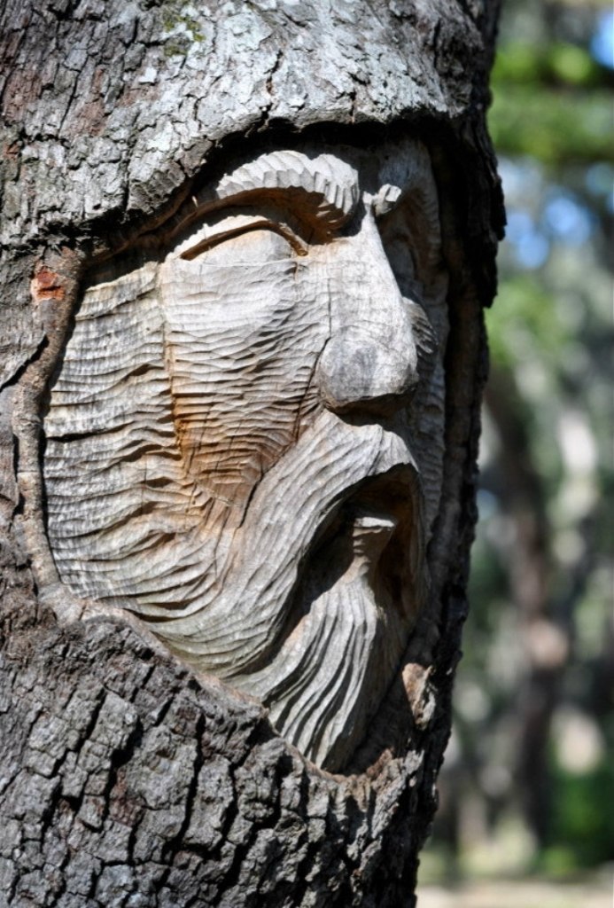  .        Tree Spirits,   ... - 8