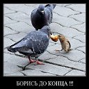 ���� �������, �������, 38 ��� - ��������� 22 �������� 2014 � ������ ������ ��������