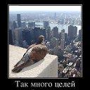 ���� ���������, ������ - ��������� 18 ������ 2014 � ������ ������ ��������