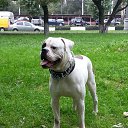 ���� �����, ������, 52 ���� - ��������� 30 ������ 2014 � ������ ���� ����������