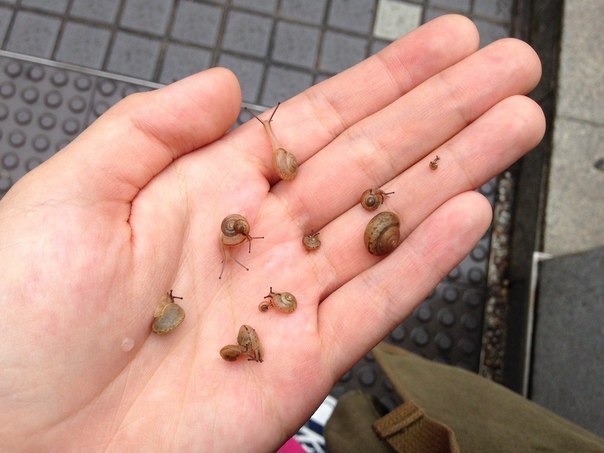 tumblr - 1  2014  10:21